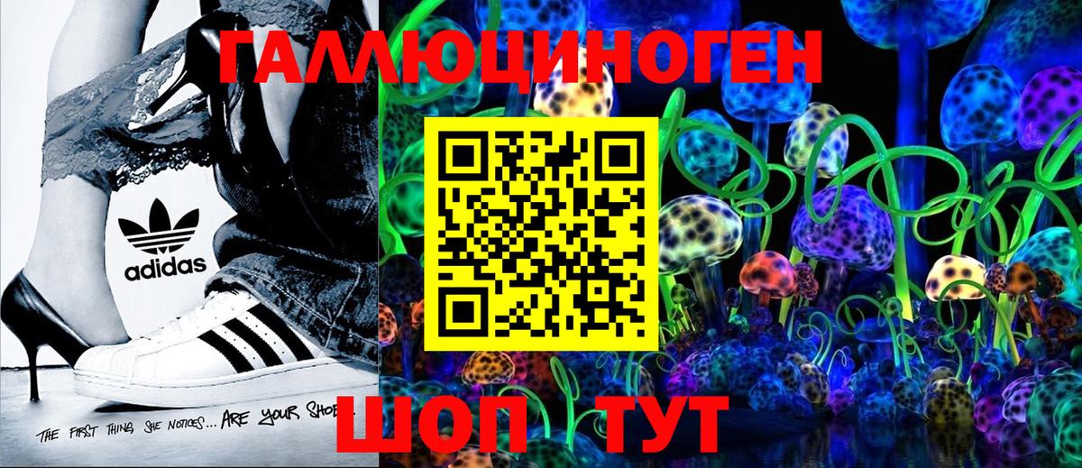 Галлюциногенные грибы прущие грибы  Галлюциногенные грибы мухоморы  купить наркотики сайты  Северобайкальск  Вход с VPN 